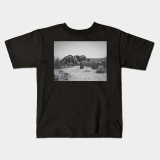 Huge Bolders from Joshua National tree Park Photo V4 Kids T-Shirt